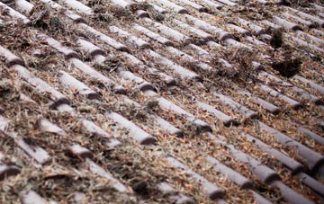 Wainfleet Tofts roof cleaning companies